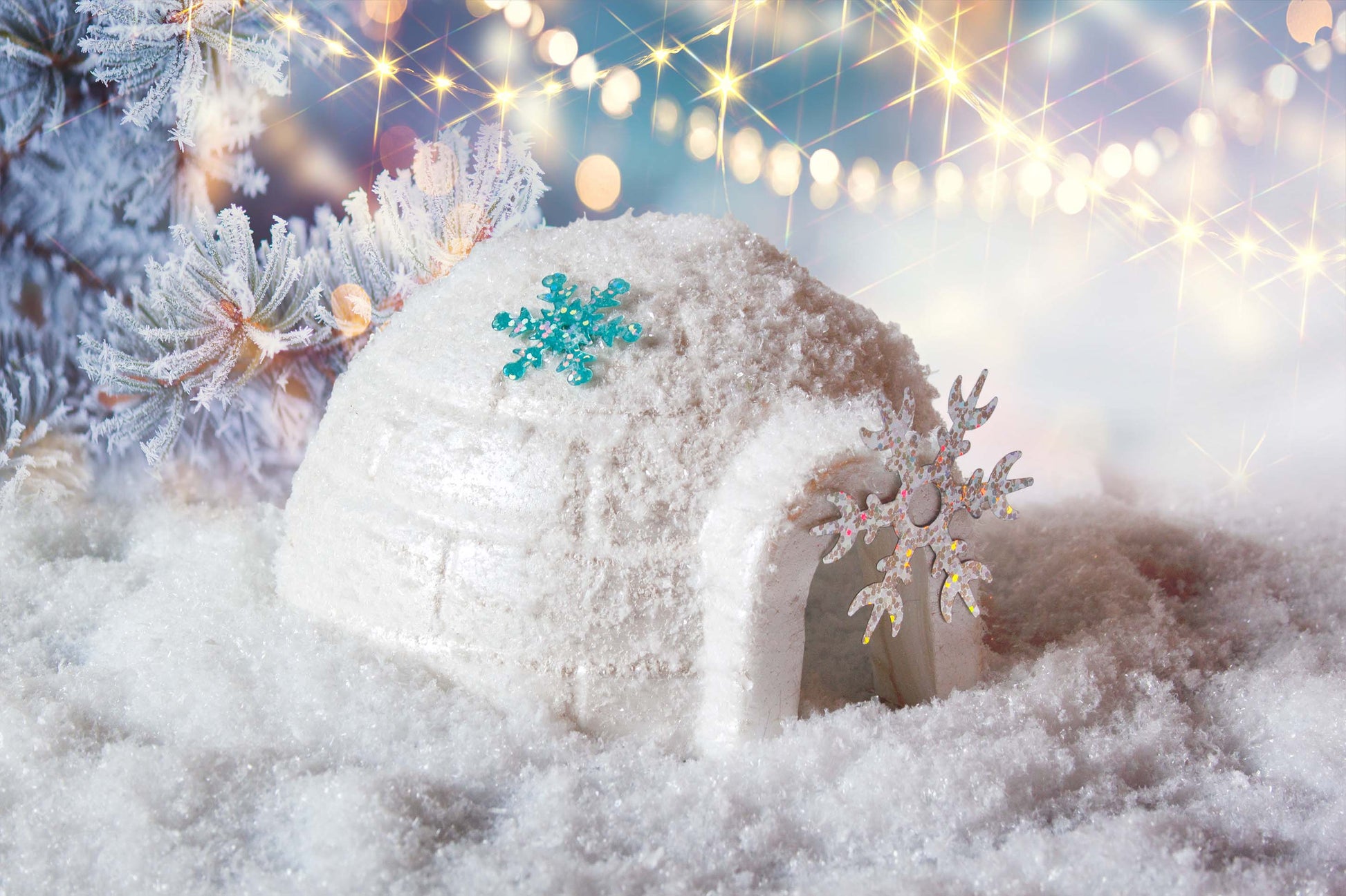 Advent Iglo