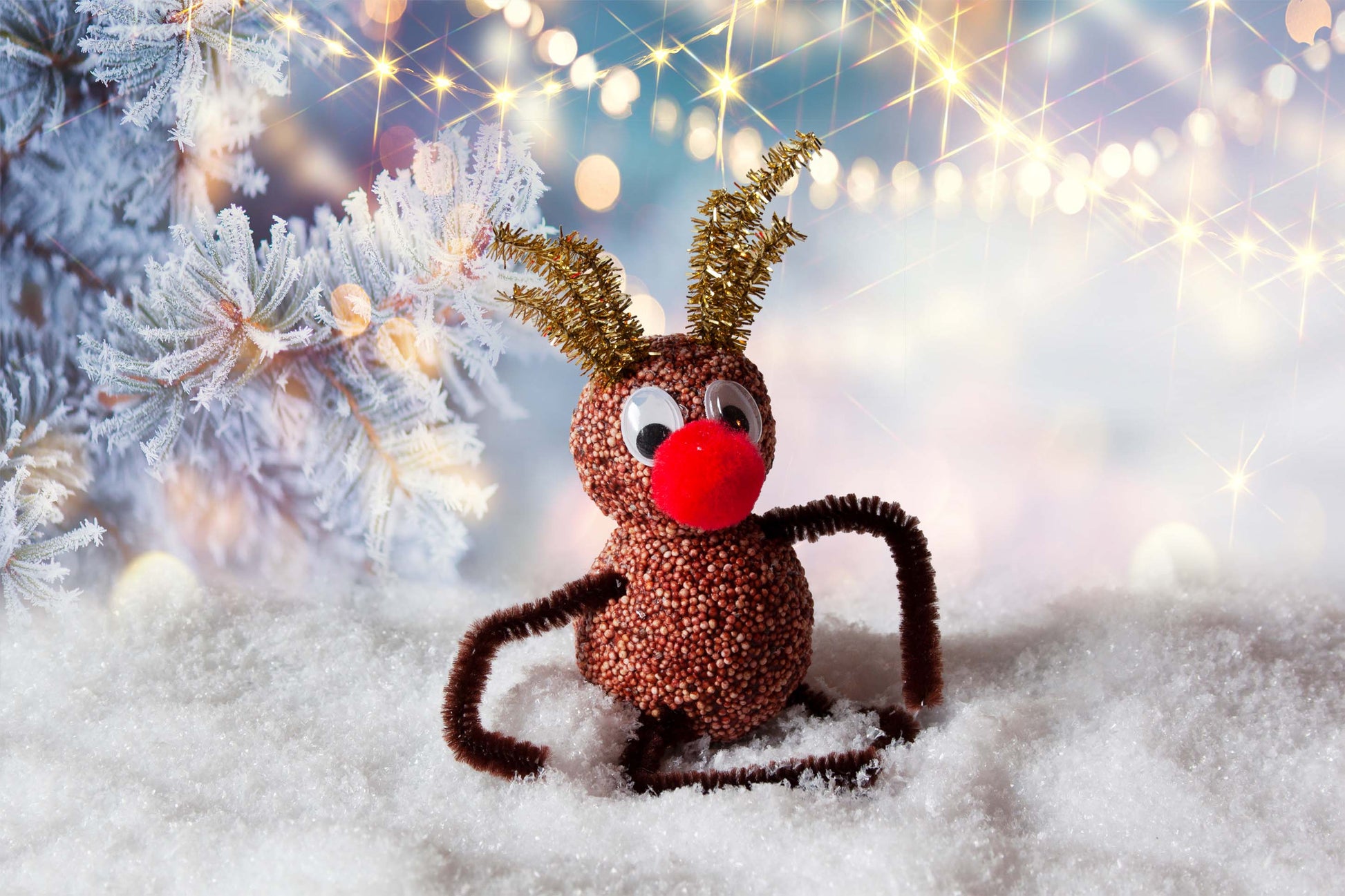 Advent rendier