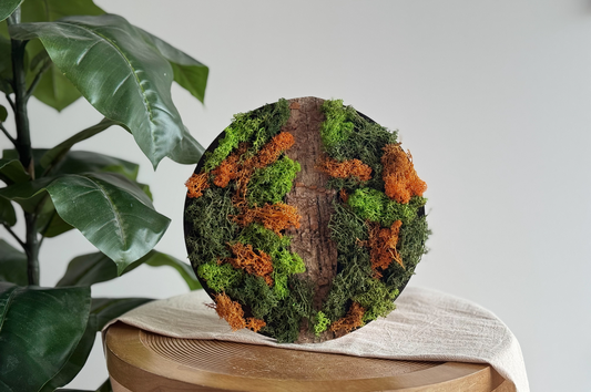 DIY Pakket Mos Schilderij